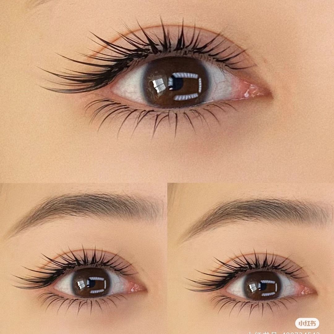 LB  LC Curl Camellia False Eye - Eyelash Extensions Classic avaliação e preço